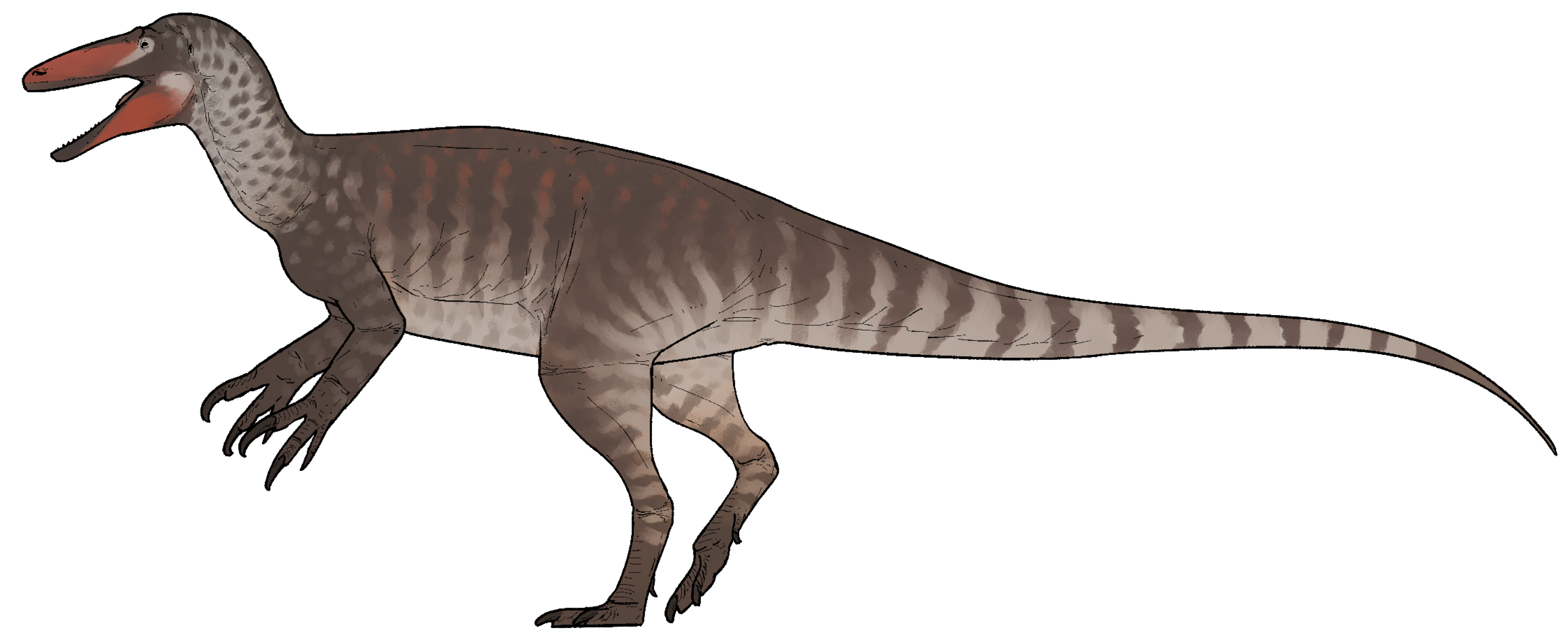 Joaquinraptor casali